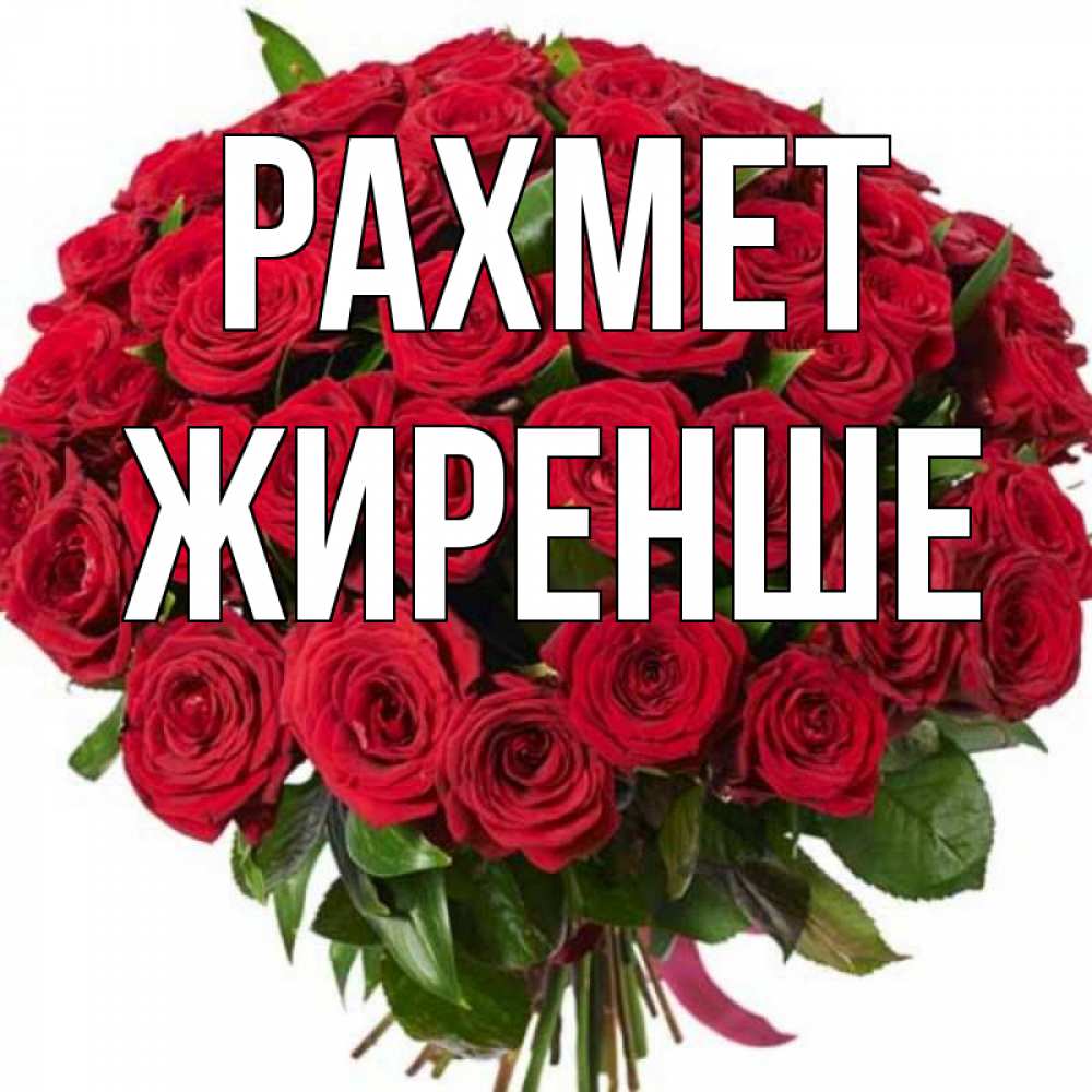 Күн сайын ашық хат с именем, Жиренше рахмет букет красных роз Онлайн тегін жүктеп алу тілектері бар керемет карта 