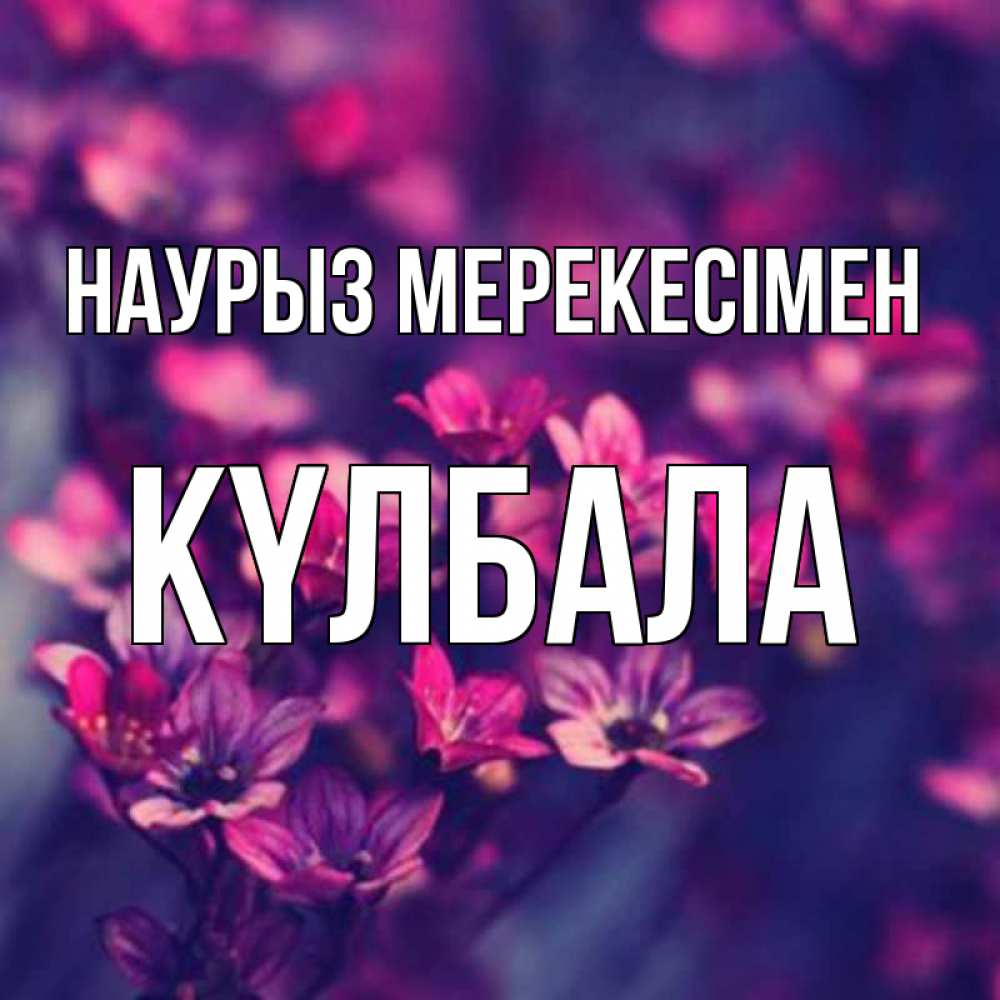Күн сайын ашық хат с именем, Күлбала Наурыз мерекесімен небольшие цветы 1 Онлайн тегін жүктеп алу тілектері бар керемет карта 