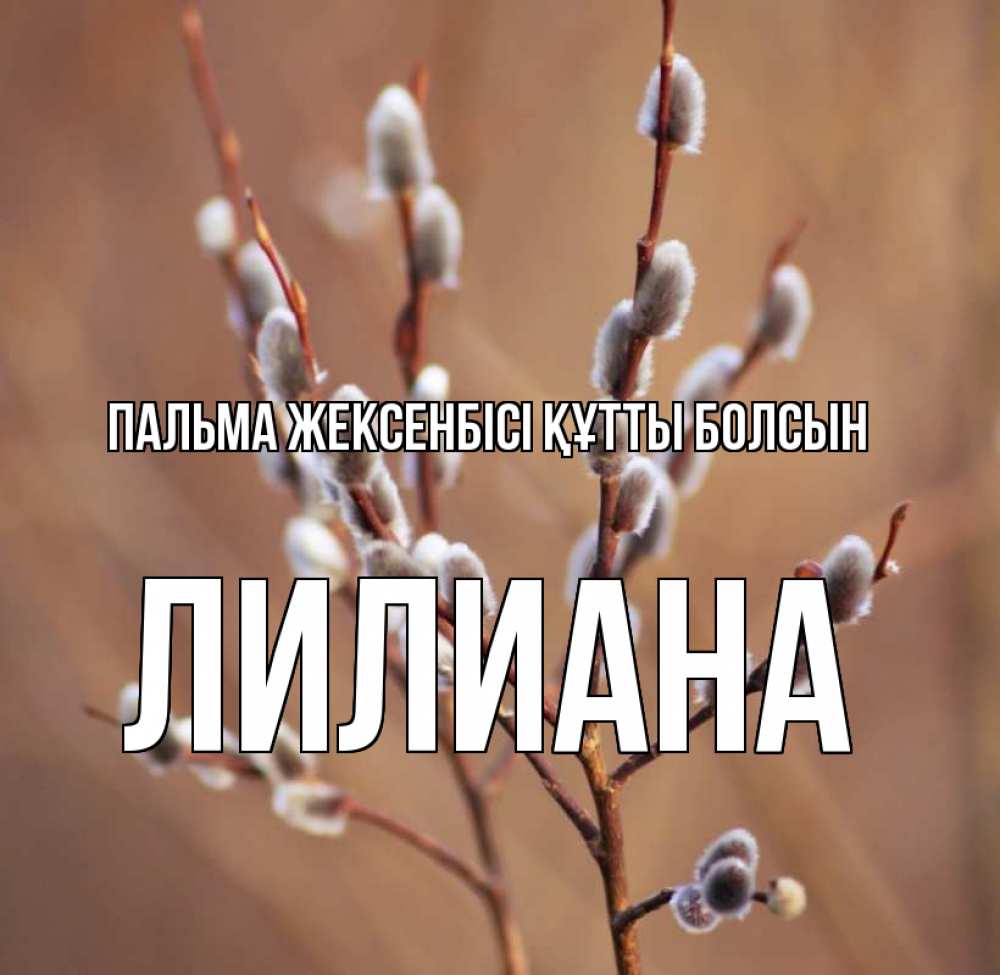 Күн сайын ашық хат с именем, Лилиана Пальма жексенбісі құтты болсын верба Онлайн тегін жүктеп алу тілектері бар керемет карта 