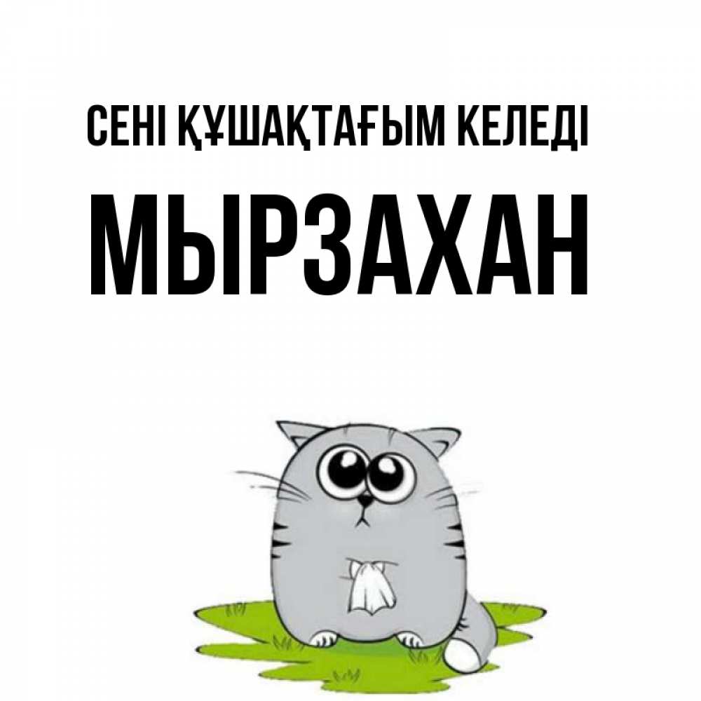 Күн сайын ашық хат с именем, Мырзахан сені құшақтағым келеді котик теребит платочек сидя на травке Онлайн тегін жүктеп алу тілектері бар керемет карта 