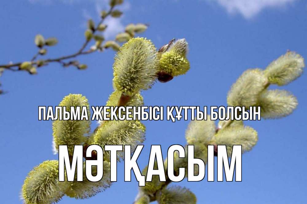 Күн сайын ашық хат с именем, МӘТҚАСЫМ Пальма жексенбісі құтты болсын верба Онлайн тегін жүктеп алу тілектері бар керемет карта 