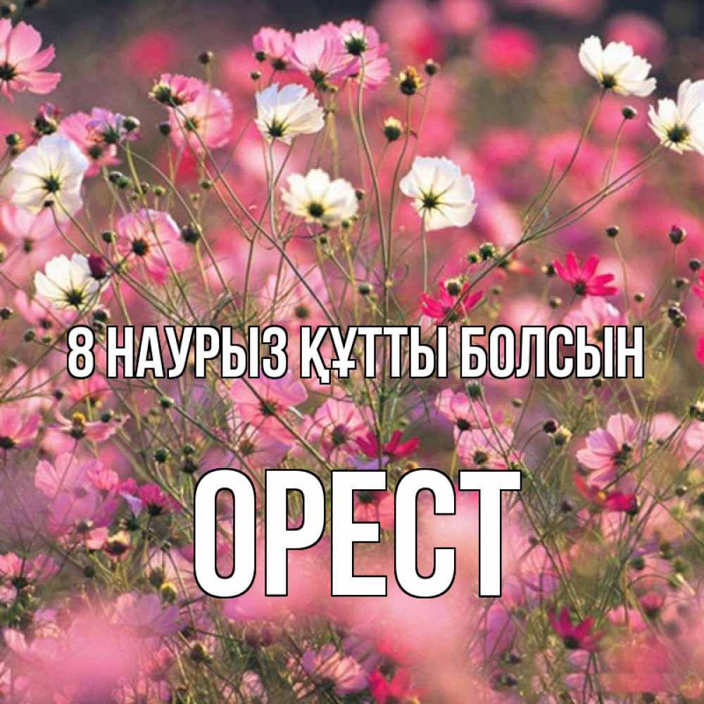 Күн сайын ашық хат с именем, Орест 8 наурыз құтты болсын красиво 1 Онлайн тегін жүктеп алу тілектері бар керемет карта 