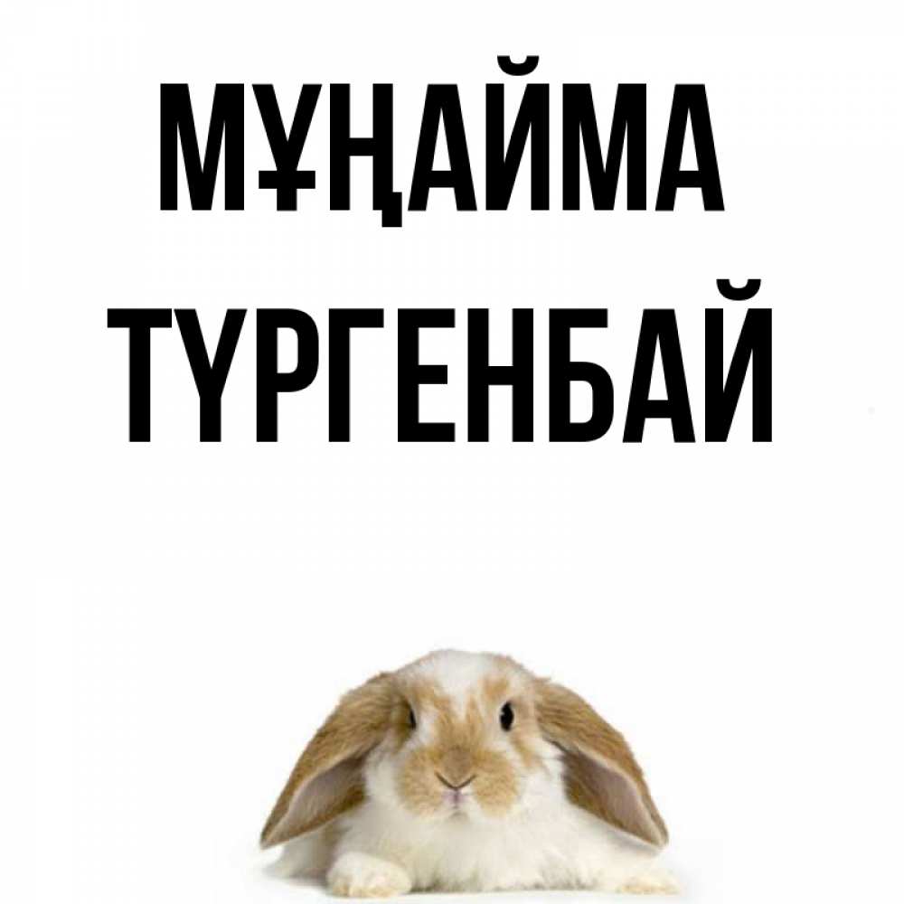 Күн сайын ашық хат с именем, ТҮРГЕНБАЙ Мұңайма коричнево белый заяц с большими ушками Онлайн тегін жүктеп алу тілектері бар керемет карта 
