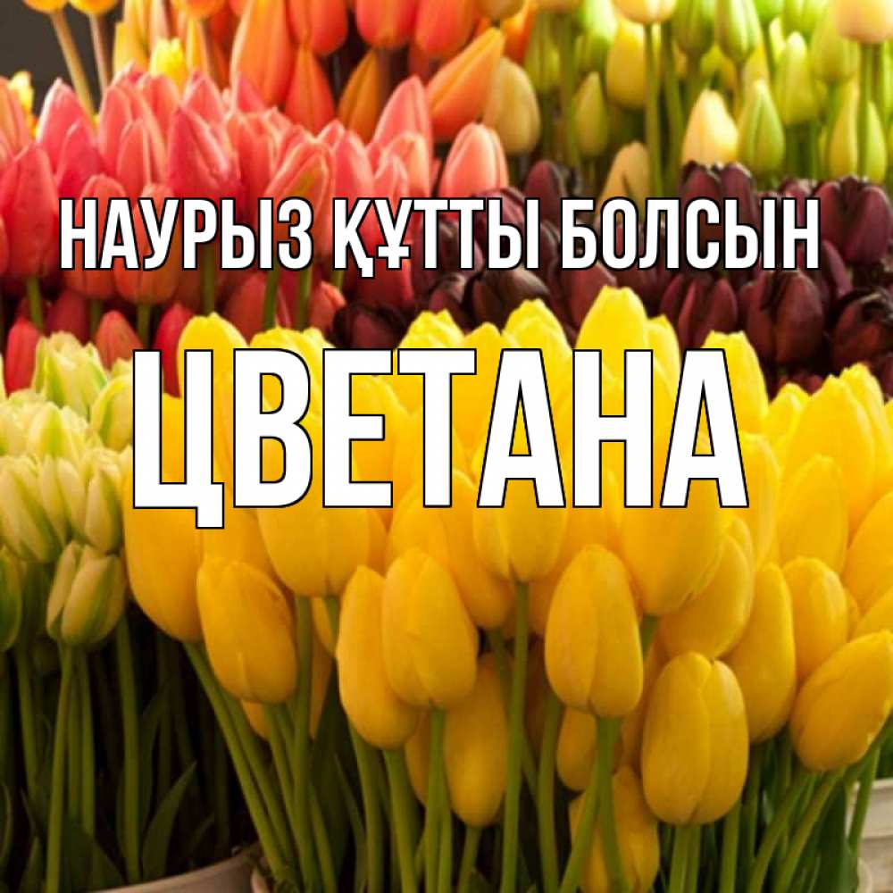 Күн сайын ашық хат с именем, Цветана Наурыз құтты болсын цветы Онлайн тегін жүктеп алу тілектері бар керемет карта 