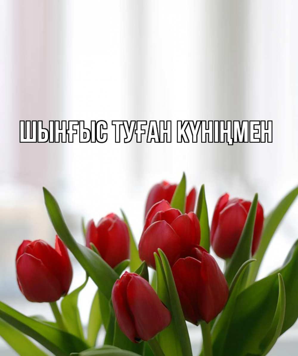 Күн сайын ашық хат с именем, ШЫНҒЫС-ТУҒАН-КҮНІҢМЕН Главная полевые цветы Онлайн тегін жүктеп алу тілектері бар керемет карта 