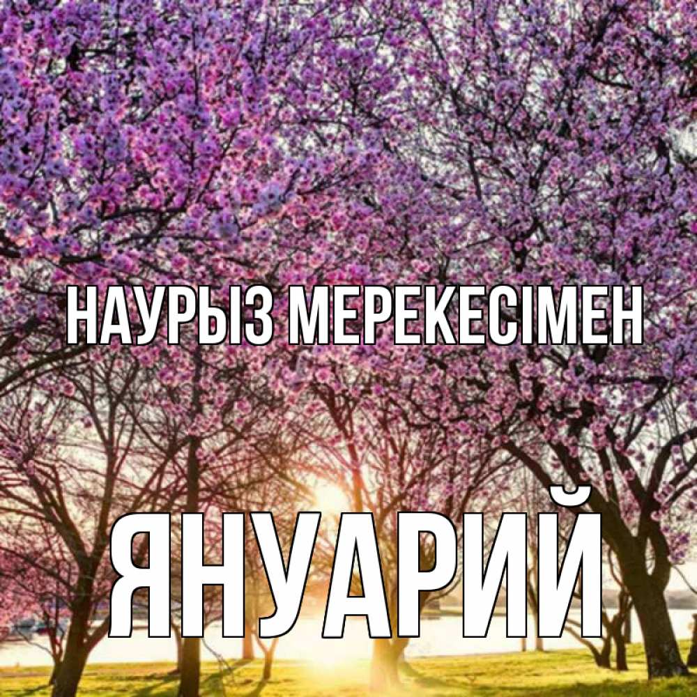 Күн сайын ашық хат с именем, Януарий Наурыз мерекесімен праздник весны наурыз Онлайн тегін жүктеп алу тілектері бар керемет карта 