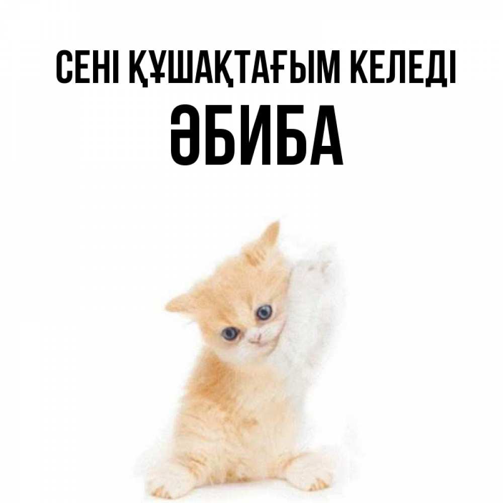 Күн сайын ашық хат с именем, ӘБИБА сені құшақтағым келеді я хочу очень скорее обнимаешек Онлайн тегін жүктеп алу тілектері бар керемет карта 