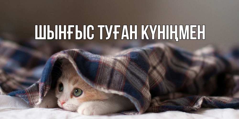 Картинка  с именем , ШЫНҒЫС! ТУҒАН КҮНІҢМЕН!
