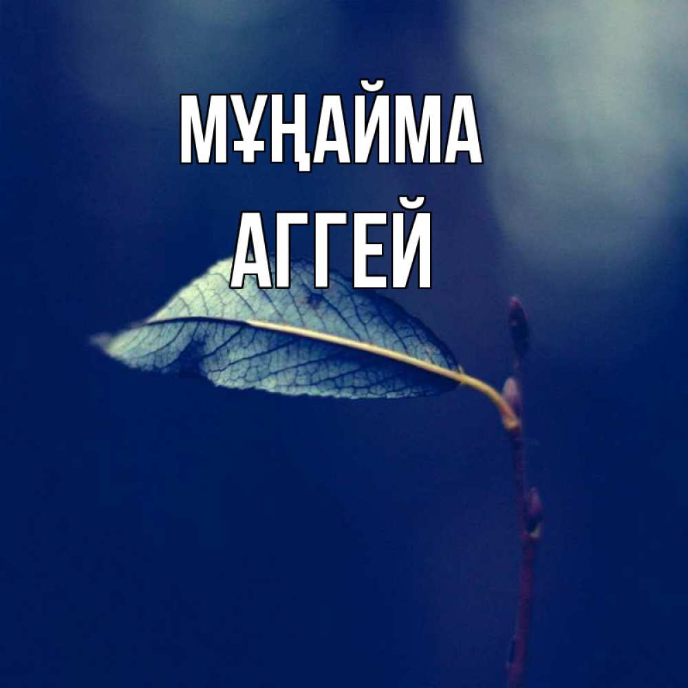 Күн сайын ашық хат с именем, Аггей Мұңайма растение Онлайн тегін жүктеп алу тілектері бар керемет карта 