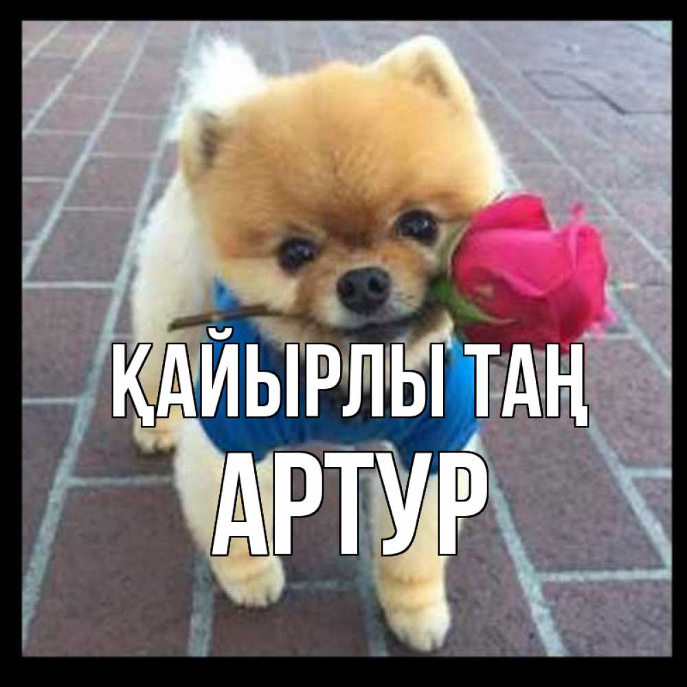 Күн сайын ашық хат с именем, Артур Қайырлы таң роза в зубах Онлайн тегін жүктеп алу тілектері бар керемет карта 