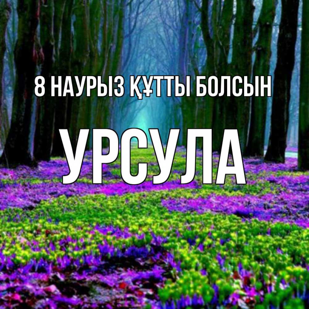 Күн сайын ашық хат с именем, Урсула 8 наурыз құтты болсын фиолетовые цветы в лесу 1 Онлайн тегін жүктеп алу тілектері бар керемет карта 