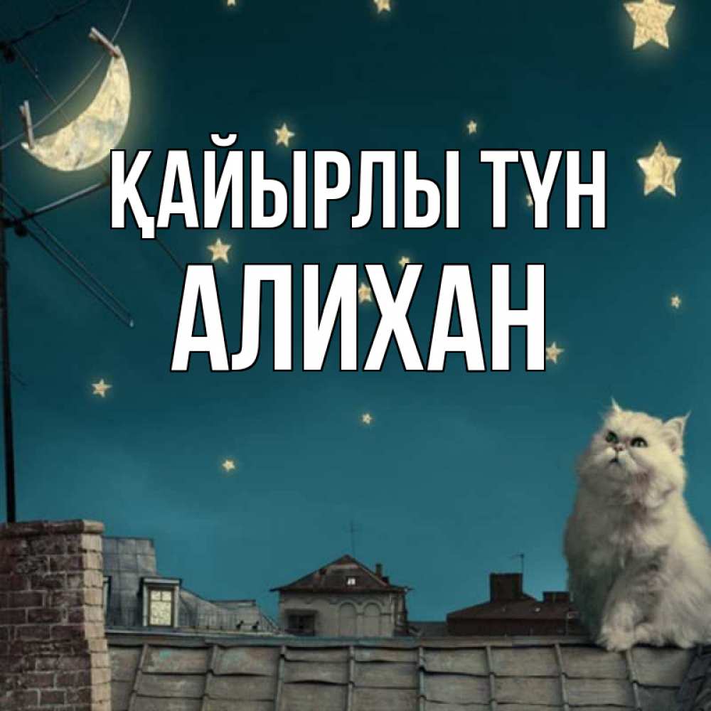 Күн сайын ашық хат с именем, Алихан Қайырлы түн белый кот сидит на крыше Онлайн тегін жүктеп алу тілектері бар керемет карта 