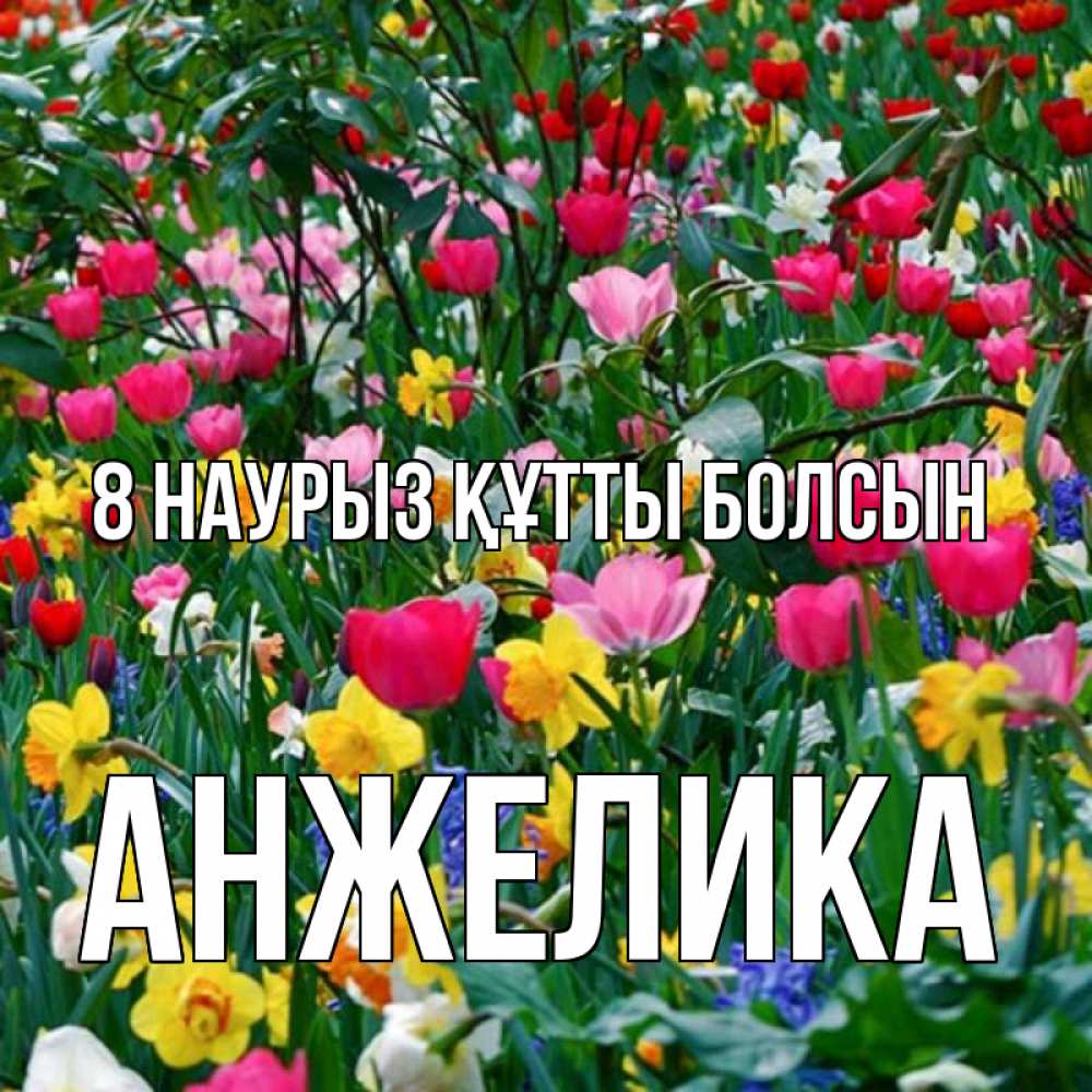 Күн сайын ашық хат с именем, Анжелика 8 наурыз құтты болсын с международным женским днем поздравления для женщины Онлайн тегін жүктеп алу тілектері бар керемет карта 