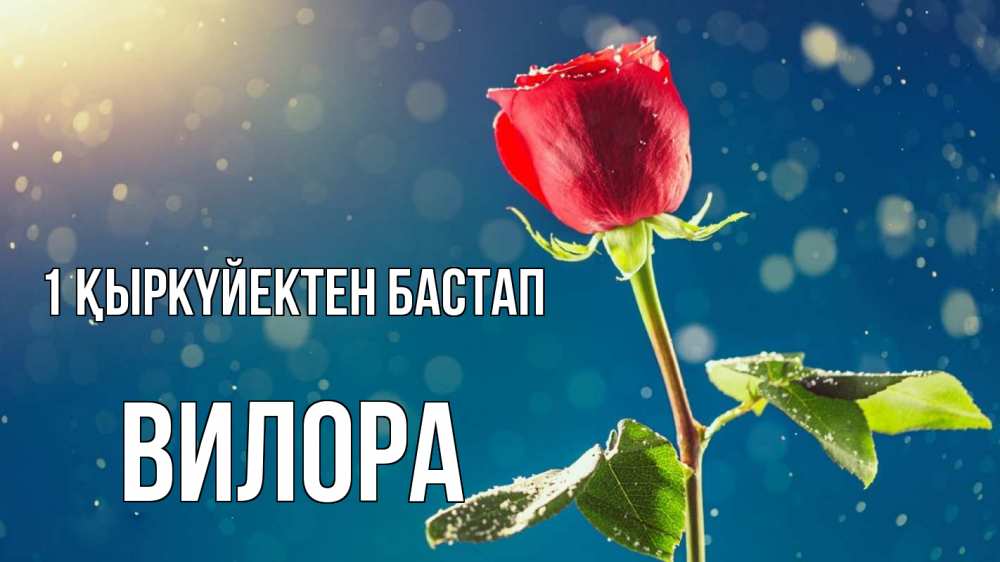 Күн сайын ашық хат с именем, Вилора 1 қыркүйектен бастап с днем знаний Онлайн тегін жүктеп алу тілектері бар керемет карта 