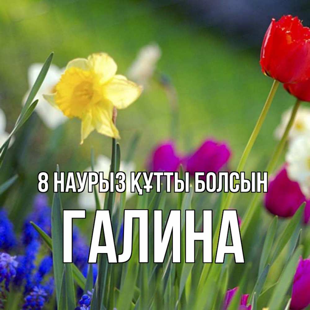 Күн сайын ашық хат с именем, Галина 8 наурыз құтты болсын международный женский день 3 Онлайн тегін жүктеп алу тілектері бар керемет карта 