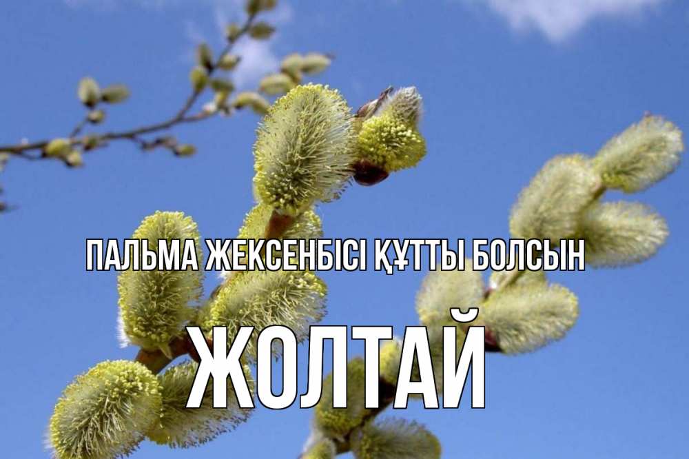 Күн сайын ашық хат с именем, Жолтай Пальма жексенбісі құтты болсын верба Онлайн тегін жүктеп алу тілектері бар керемет карта 