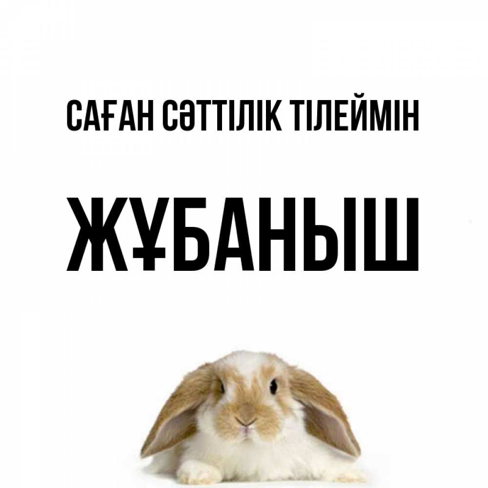 Күн сайын ашық хат с именем, Жұбаныш Саған сәттілік тілеймін открытки с произвольным текстом который можно вставить в открытку и создать ее самостоятельно бесплатно онлайн Онлайн тегін жүктеп алу тілектері бар керемет карта 