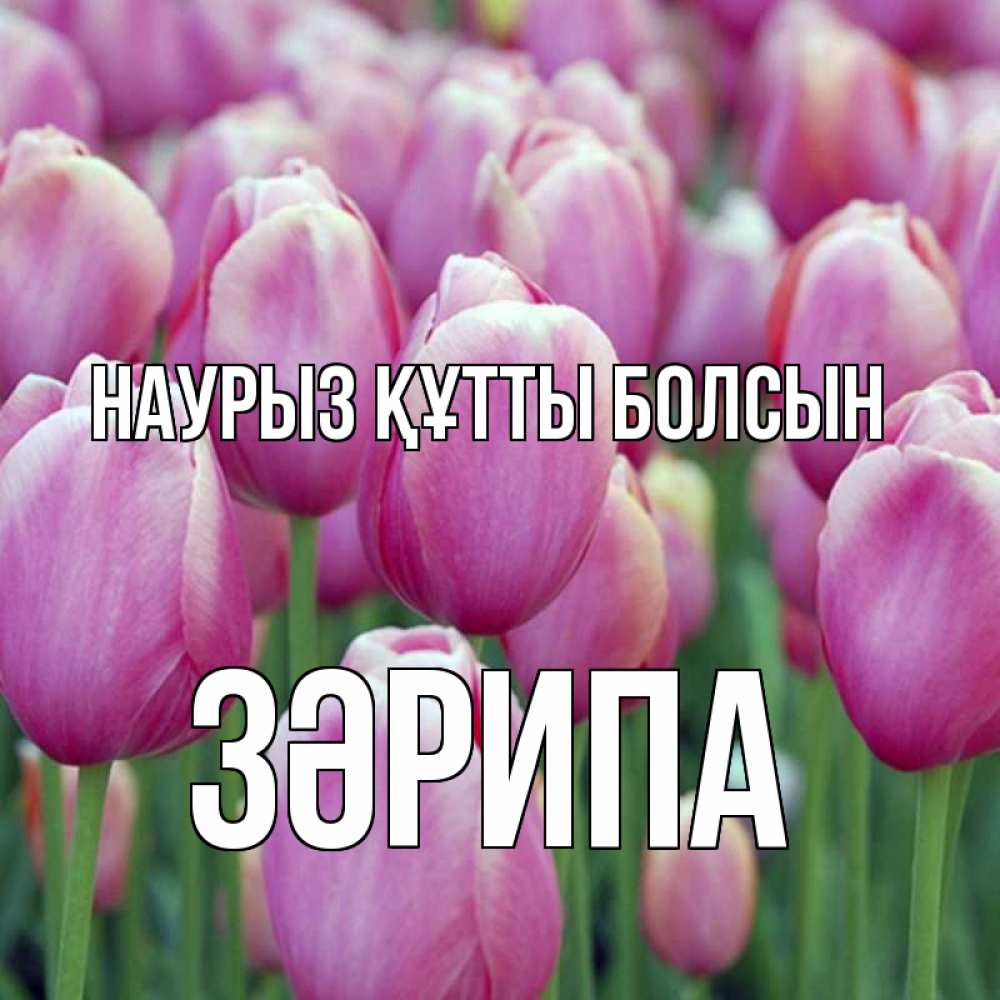 Күн сайын ашық хат с именем, ЗӘРИПА Наурыз құтты болсын на наурыз  день 3 Онлайн тегін жүктеп алу тілектері бар керемет карта 