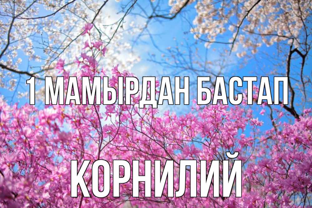 Күн сайын ашық хат с именем, Корнилий 1 мамырдан бастап С 1 мая Онлайн тегін жүктеп алу тілектері бар керемет карта 
