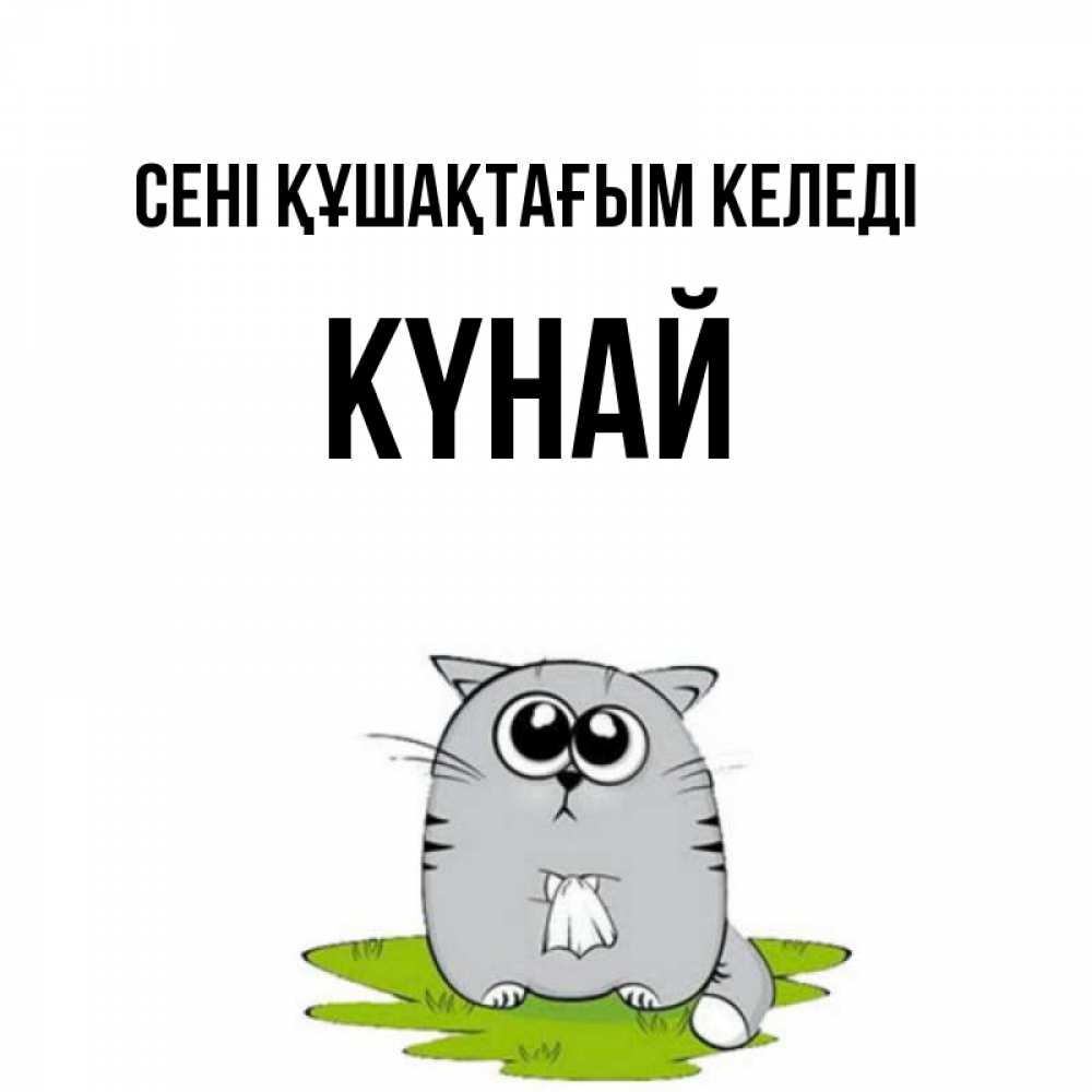 Күн сайын ашық хат с именем, КҮНАЙ сені құшақтағым келеді котик теребит платочек сидя на травке Онлайн тегін жүктеп алу тілектері бар керемет карта 