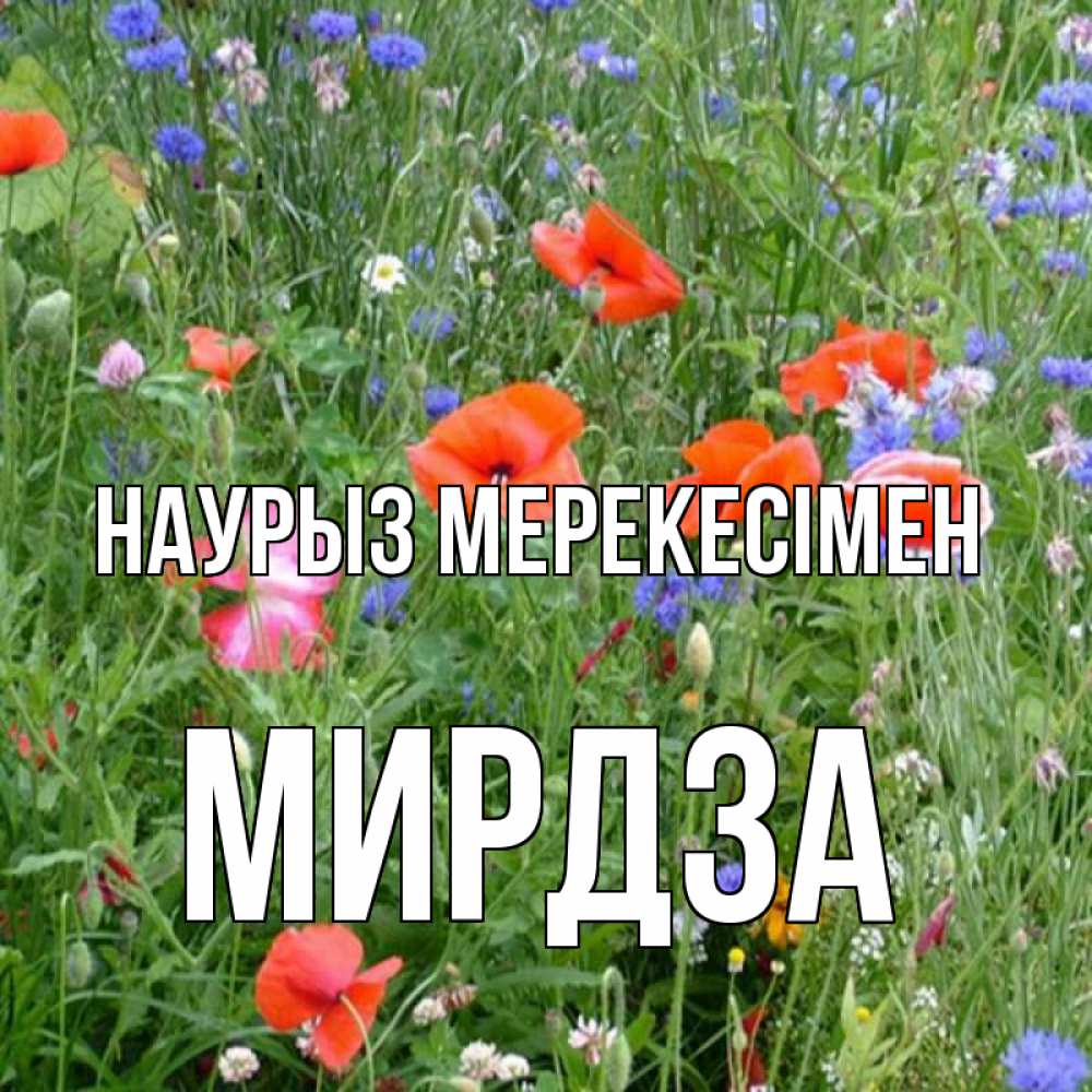 Күн сайын ашық хат с именем, Мирдза Наурыз мерекесімен праздник весны наурыз супер открытка Онлайн тегін жүктеп алу тілектері бар керемет карта 