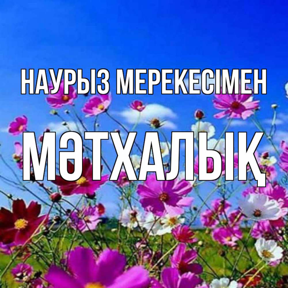 Күн сайын ашық хат с именем, МӘТХАЛЫҚ Наурыз мерекесімен цветы Онлайн тегін жүктеп алу тілектері бар керемет карта 