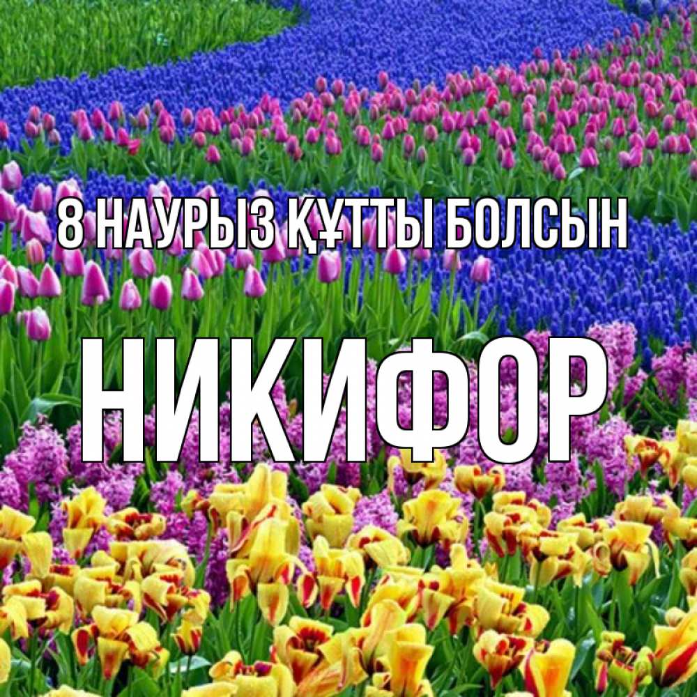 Күн сайын ашық хат с именем, Никифор 8 наурыз құтты болсын цветы Онлайн тегін жүктеп алу тілектері бар керемет карта 