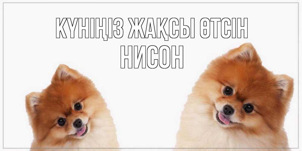 Күн сайын ашық хат с именем, Нисон Күніңіз жақсы өтсін собачки желают прекрасного дня Онлайн тегін жүктеп алу тілектері бар керемет карта 