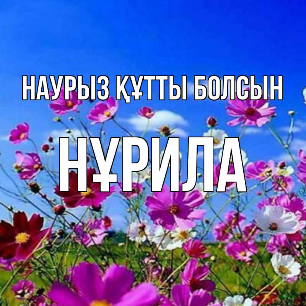 Күн сайын ашық хат с именем, НҰРИЛА Наурыз құтты болсын цветы Онлайн тегін жүктеп алу тілектері бар керемет карта 
