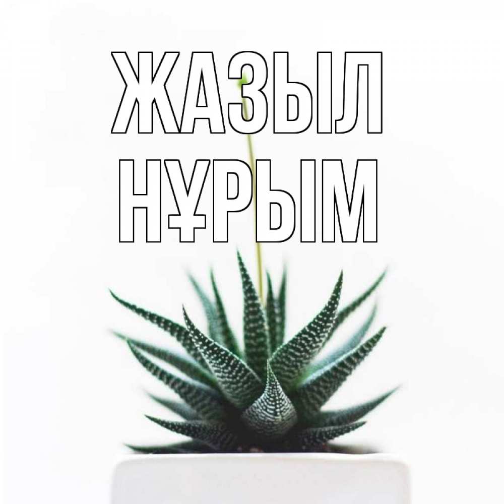 Күн сайын ашық хат с именем, Нұрым Жазыл короче это непонятная колючка Онлайн тегін жүктеп алу тілектері бар керемет карта 