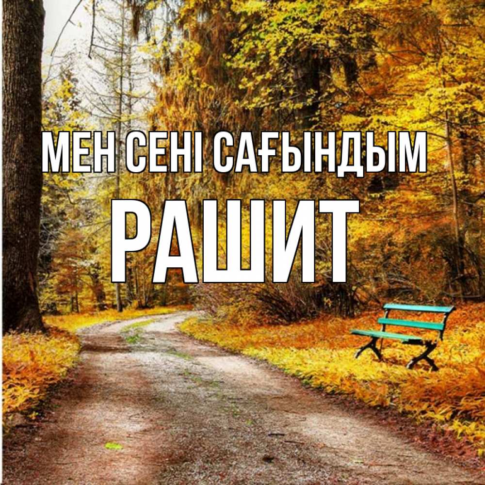 Күн сайын ашық хат с именем, РАШИТ Мен сені сағындым зеленая лавочка и осенний лес Онлайн тегін жүктеп алу тілектері бар керемет карта 