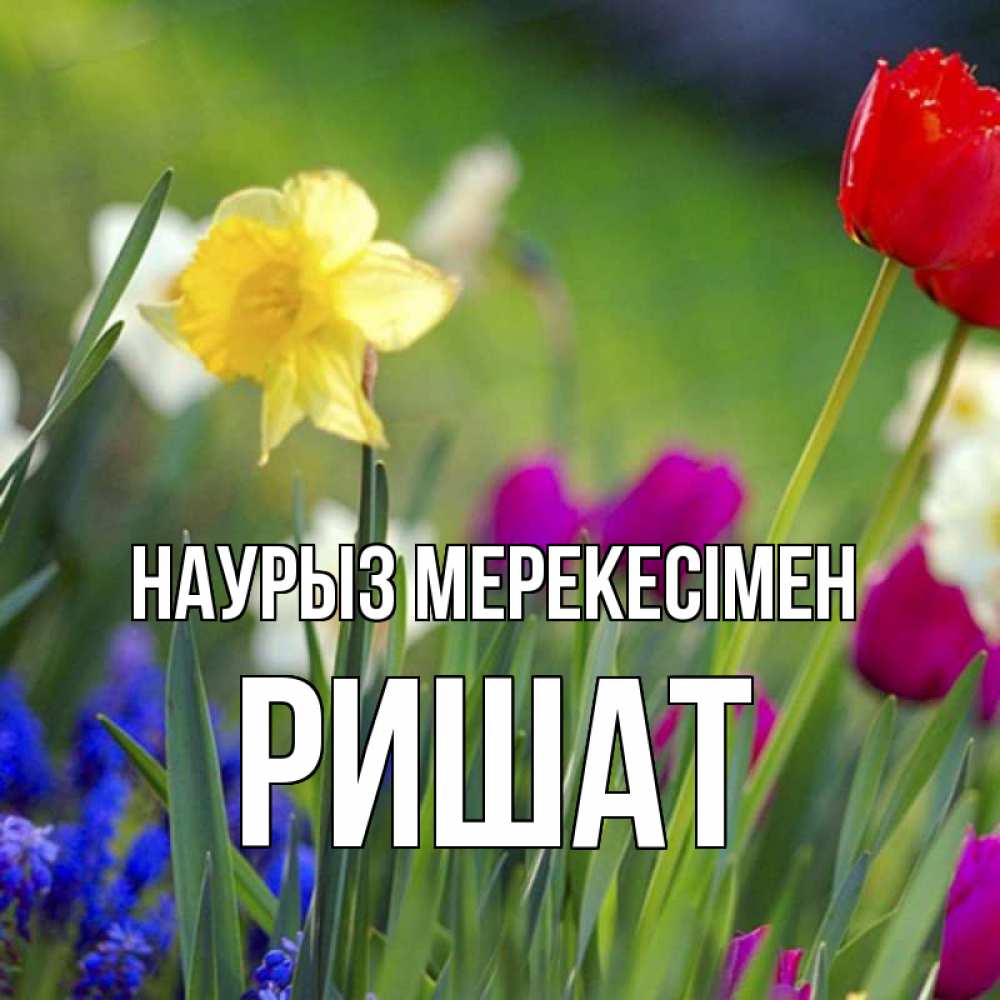 Күн сайын ашық хат с именем, РИШАТ Наурыз мерекесімен праздник весны наурыз 3 Онлайн тегін жүктеп алу тілектері бар керемет карта 