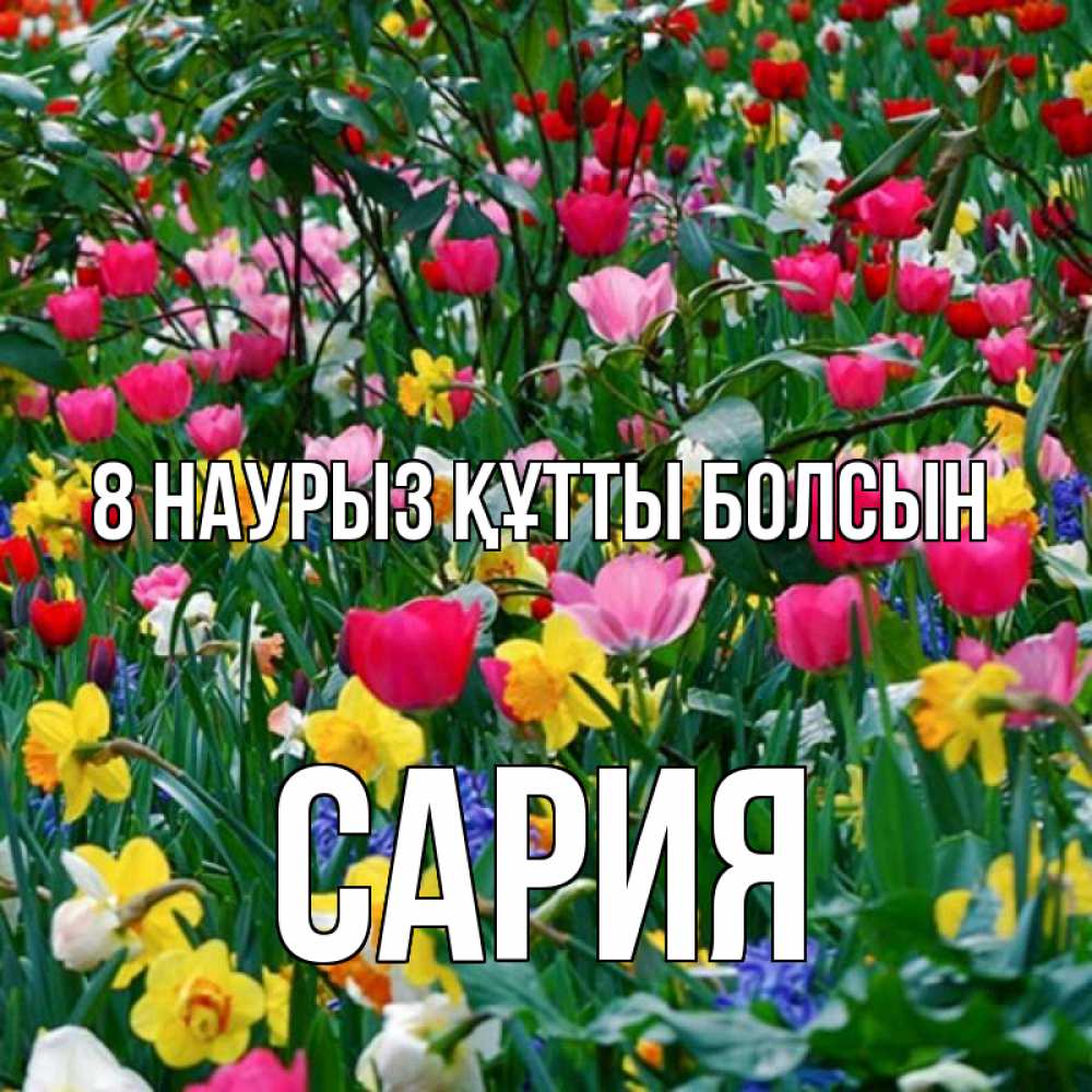 Күн сайын ашық хат с именем, САРИЯ 8 наурыз құтты болсын с международным женским днем поздравления для женщины Онлайн тегін жүктеп алу тілектері бар керемет карта 