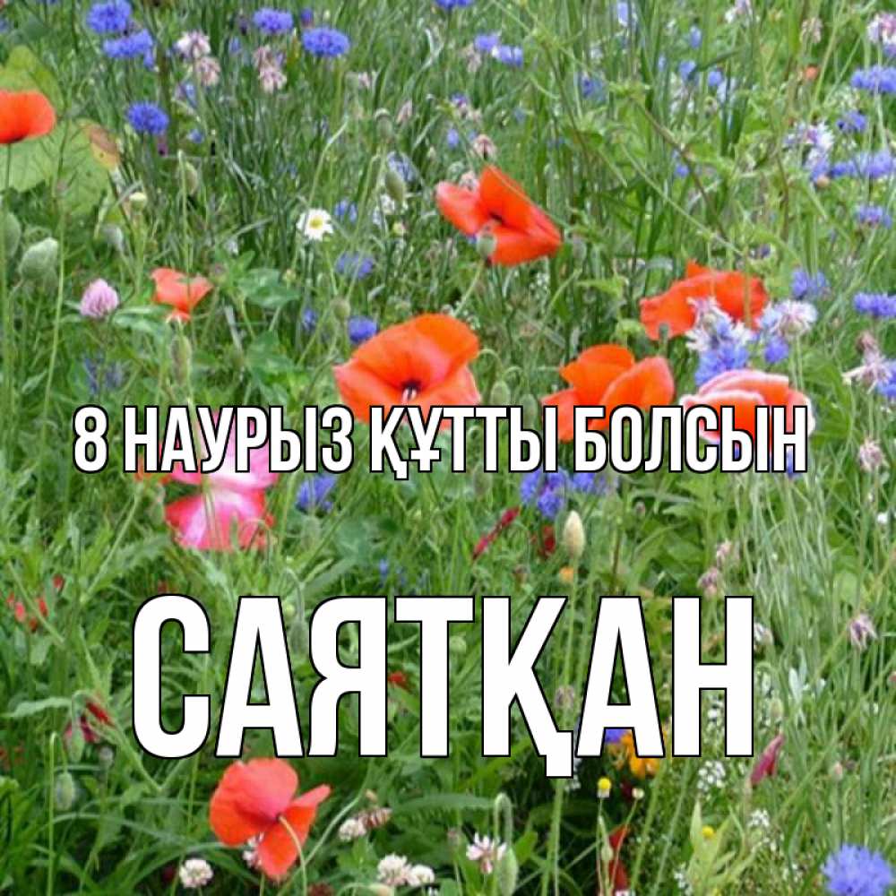 Күн сайын ашық хат с именем, САЯТҚАН 8 наурыз құтты болсын международный женский день 4 Онлайн тегін жүктеп алу тілектері бар керемет карта 