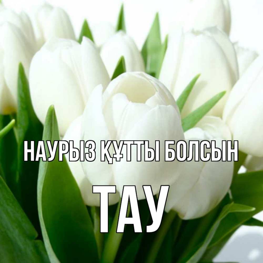 Күн сайын ашық хат с именем, ТАУ Наурыз құтты болсын цветы Онлайн тегін жүктеп алу тілектері бар керемет карта 
