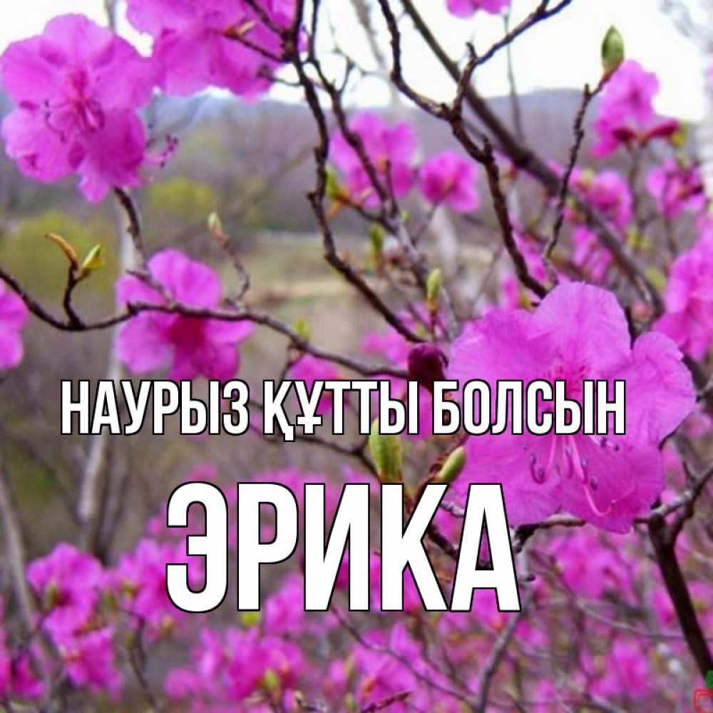 Күн сайын ашық хат с именем, Эрика Наурыз құтты болсын наурыз мейрамы кутты болсын Онлайн тегін жүктеп алу тілектері бар керемет карта 