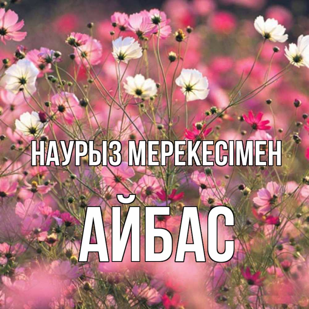 Күн сайын ашық хат с именем, Айбас Наурыз мерекесімен красиво 1 Онлайн тегін жүктеп алу тілектері бар керемет карта 