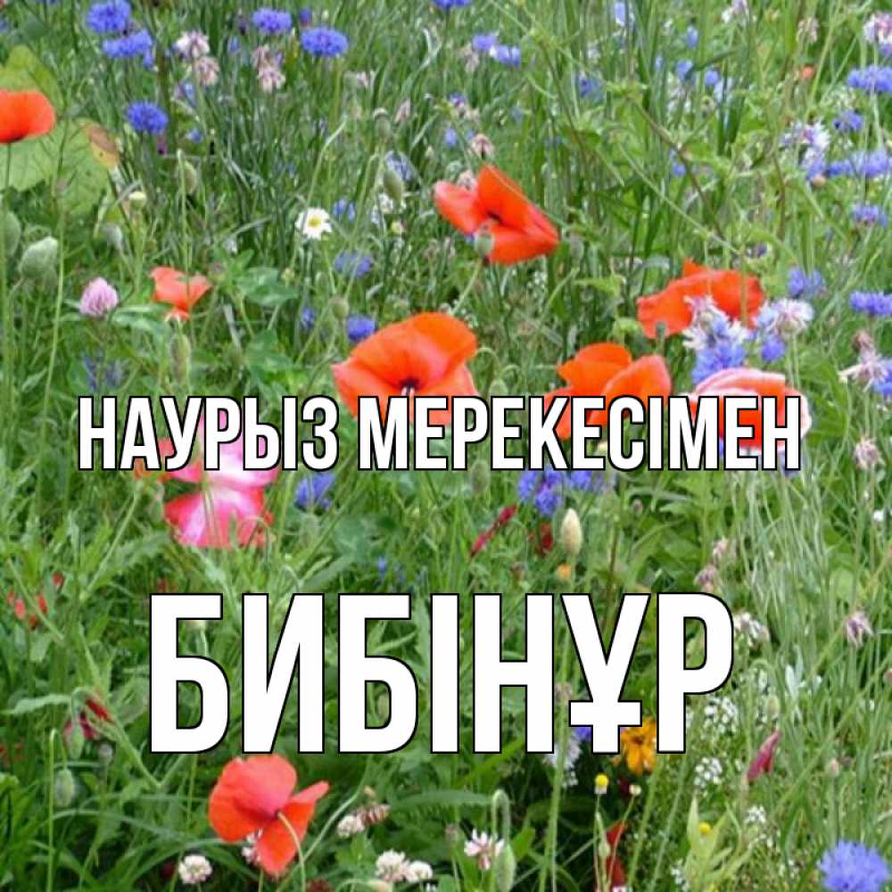 Күн сайын ашық хат с именем, БИБІНҰР Наурыз мерекесімен праздник весны наурыз супер открытка Онлайн тегін жүктеп алу тілектері бар керемет карта 