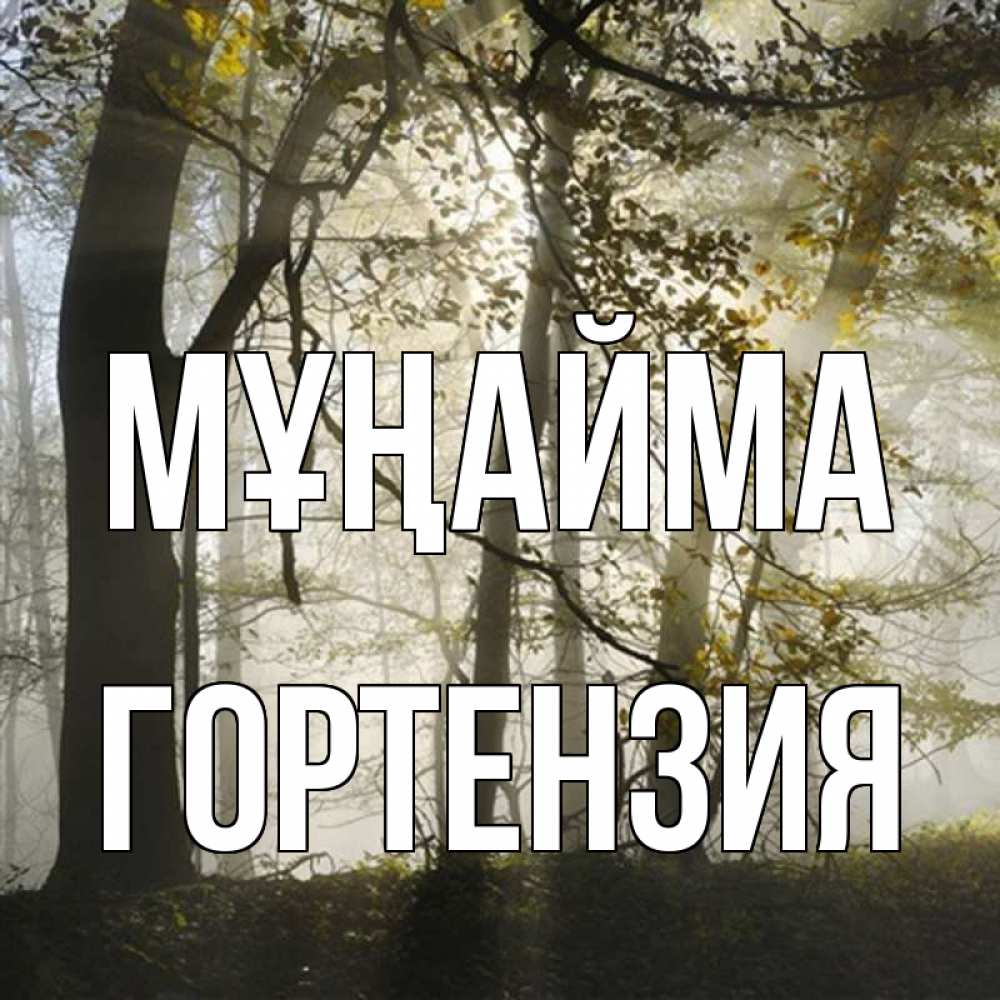 Күн сайын ашық хат с именем, Гортензия Мұңайма лес и свет Онлайн тегін жүктеп алу тілектері бар керемет карта 