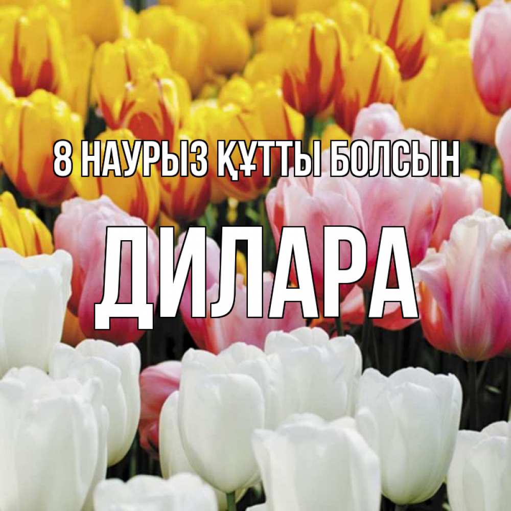 Күн сайын ашық хат с именем, Дилара 8 наурыз құтты болсын разноцветные цветы Онлайн тегін жүктеп алу тілектері бар керемет карта 