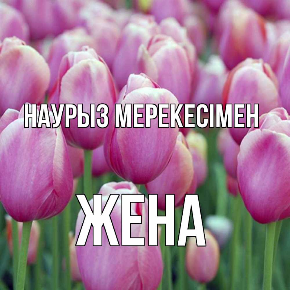 Күн сайын ашық хат с именем, Жена Наурыз мерекесімен праздник весны наурыз 69 Онлайн тегін жүктеп алу тілектері бар керемет карта 