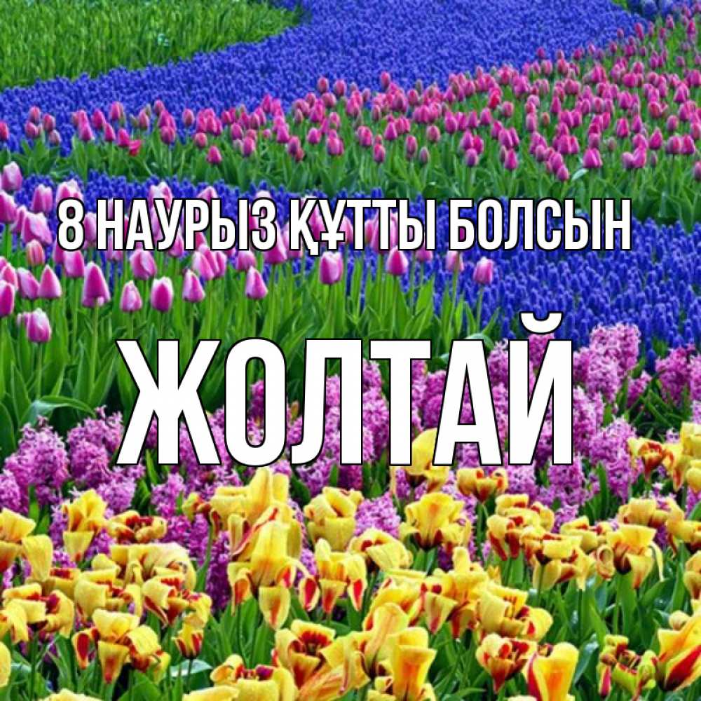 Күн сайын ашық хат с именем, Жолтай 8 наурыз құтты болсын цветы Онлайн тегін жүктеп алу тілектері бар керемет карта 