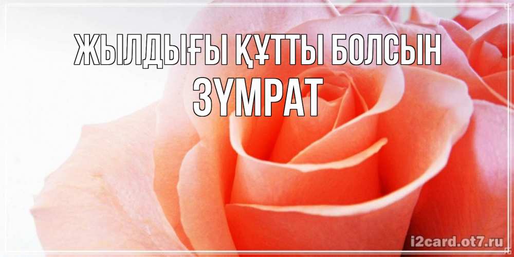Күн сайын ашық хат с именем, ЗҮМРАТ Жылдығы құтты болсын розы для поздравления с днем рождения Онлайн тегін жүктеп алу тілектері бар керемет карта 