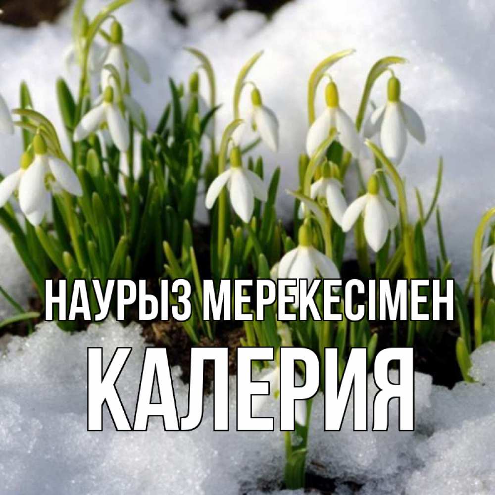 Күн сайын ашық хат с именем, Калерия Наурыз мерекесімен цветы весенние Онлайн тегін жүктеп алу тілектері бар керемет карта 
