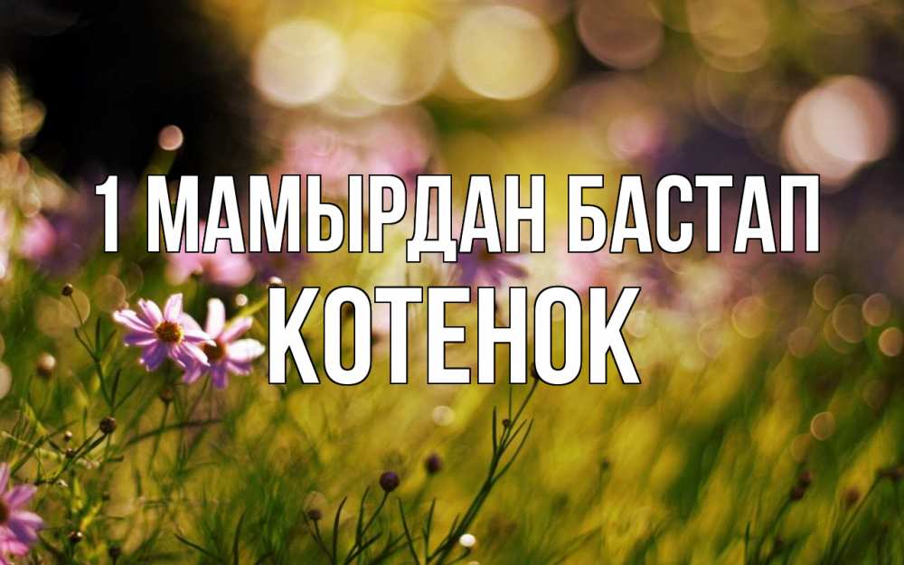 Күн сайын ашық хат с именем, Котенок 1 мамырдан бастап С 1 мая Онлайн тегін жүктеп алу тілектері бар керемет карта 