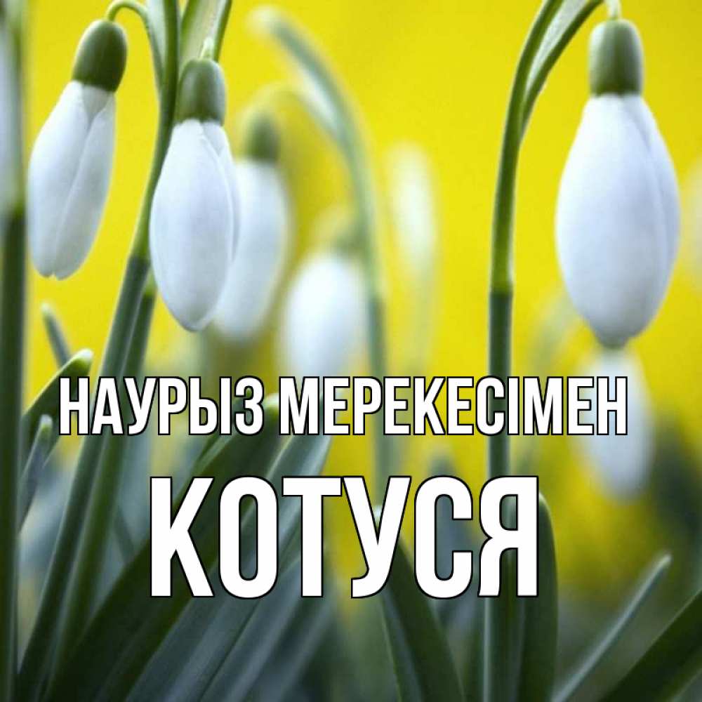 Күн сайын ашық хат с именем, Котуся Наурыз мерекесімен весенние цветы Онлайн тегін жүктеп алу тілектері бар керемет карта 