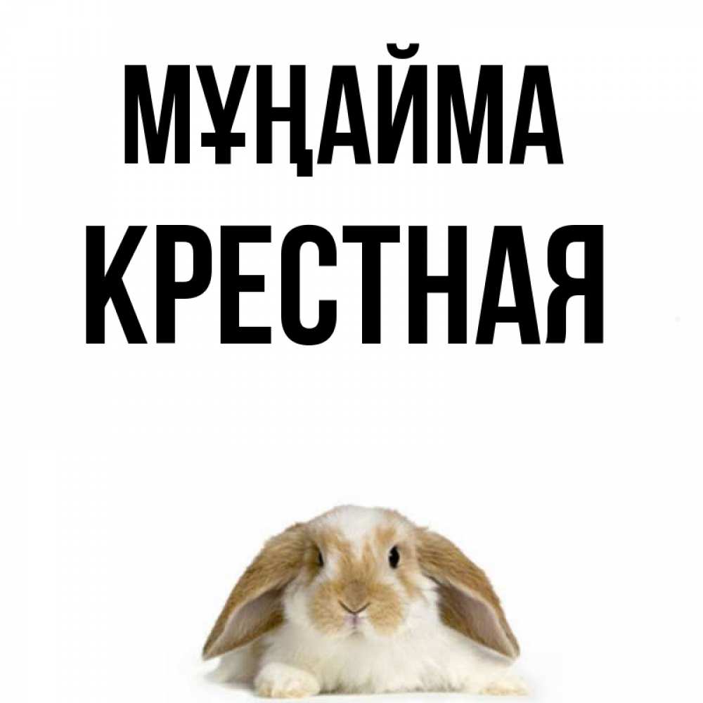Күн сайын ашық хат с именем, Крестная Мұңайма коричнево белый заяц с большими ушками Онлайн тегін жүктеп алу тілектері бар керемет карта 