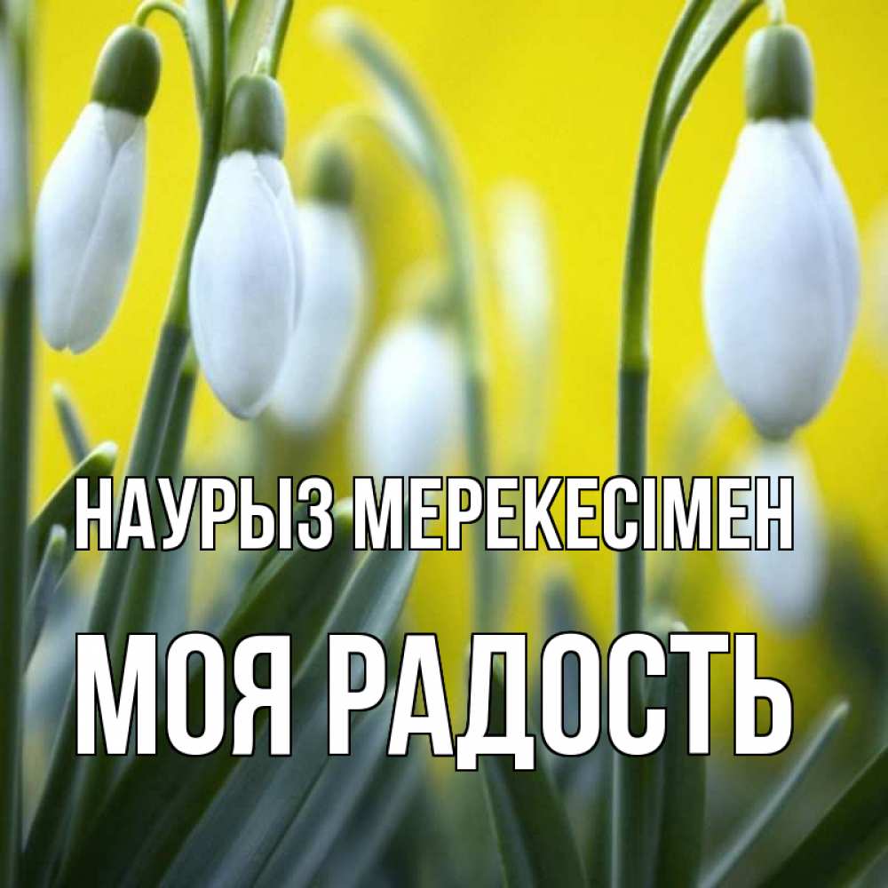 Күн сайын ашық хат с именем, Моя-радость Наурыз мерекесімен весенние цветы Онлайн тегін жүктеп алу тілектері бар керемет карта 