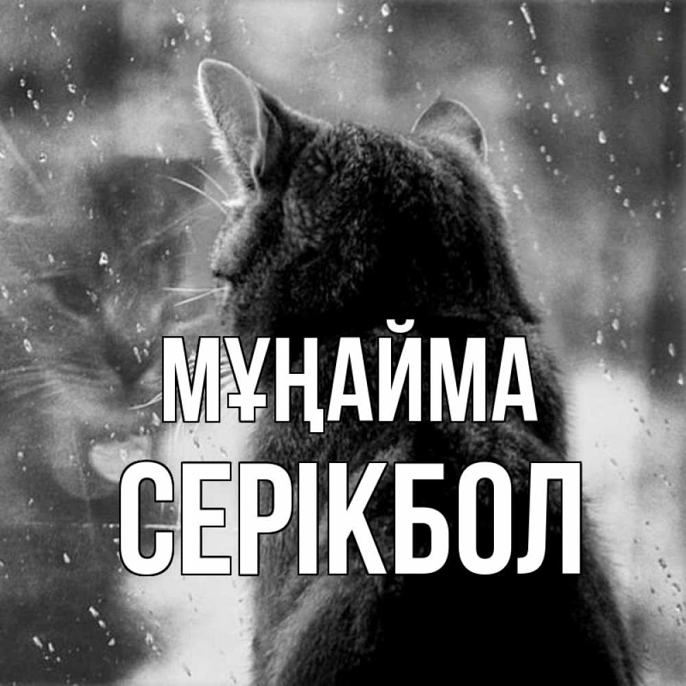 Күн сайын ашық хат с именем, СЕРІКБОЛ Мұңайма отражение кота 1 Онлайн тегін жүктеп алу тілектері бар керемет карта 