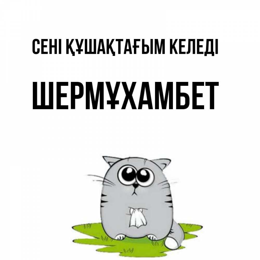 Күн сайын ашық хат с именем, ШЕРМҰХАМБЕТ сені құшақтағым келеді котик теребит платочек сидя на травке Онлайн тегін жүктеп алу тілектері бар керемет карта 